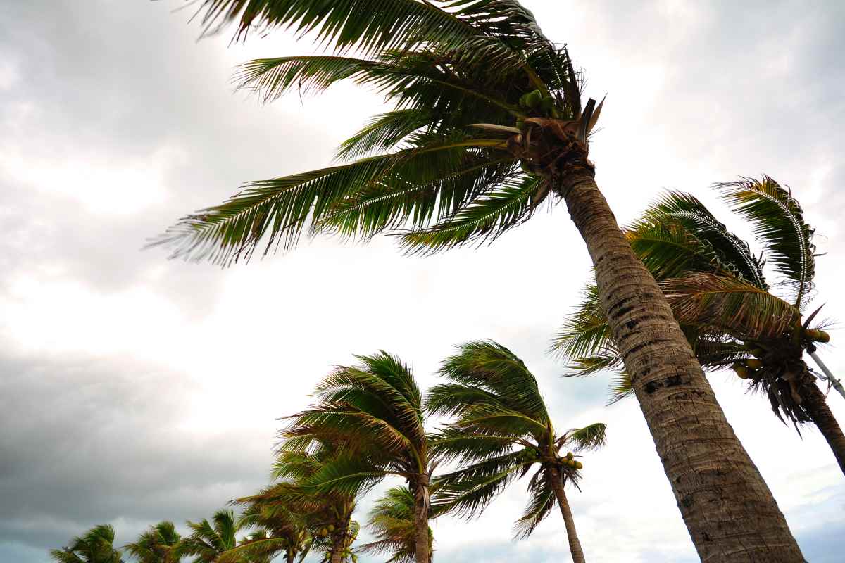 hurricane insurance for north carolina homes