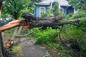new north carolina home with hurricane damage